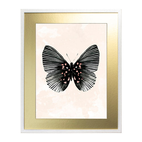 Mariposa 5