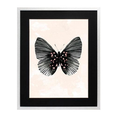 Mariposa 5