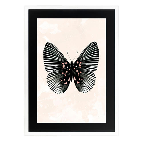 Mariposa 5