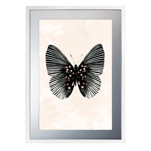Mariposa 5