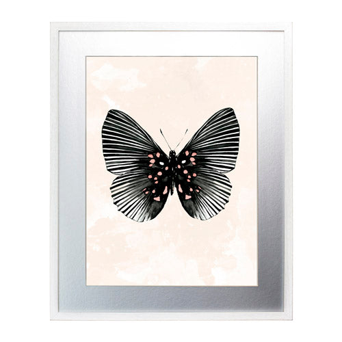 Mariposa 5