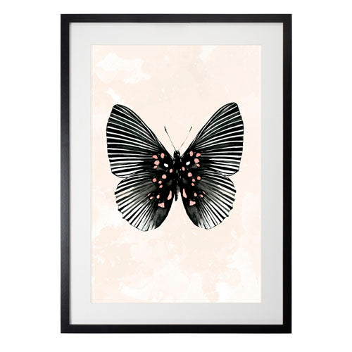 Mariposa 5