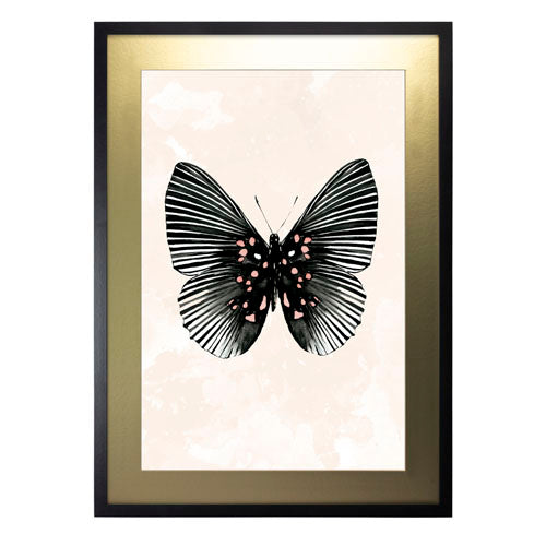 Mariposa 5