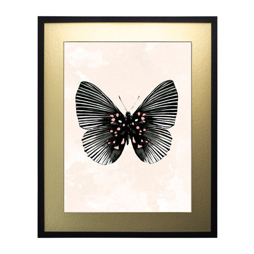 Mariposa 5