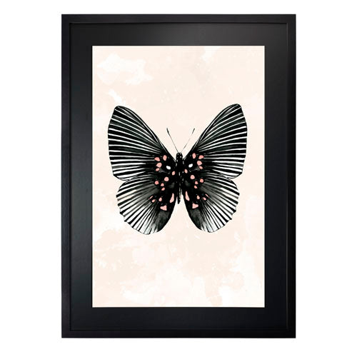 Mariposa 5