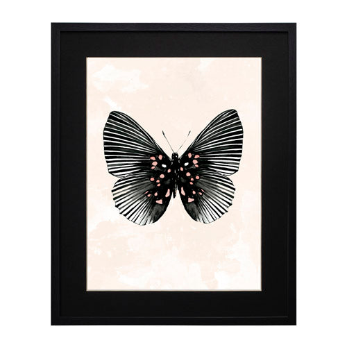 Mariposa 5