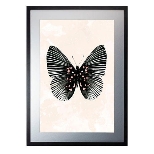 Mariposa 5