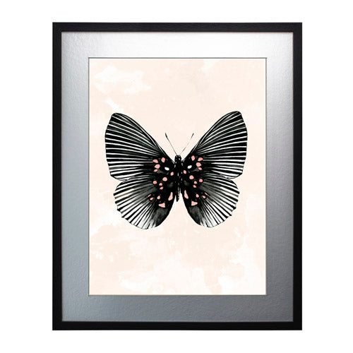Mariposa 5