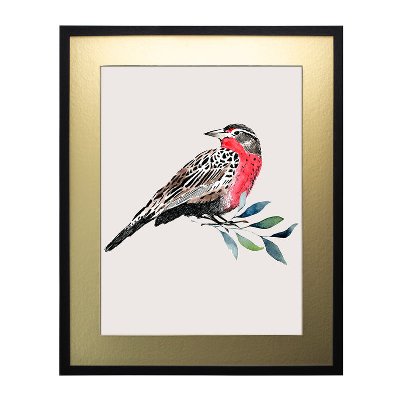 Pájaros Nativos 1