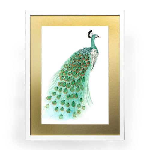 Pavo Real 1