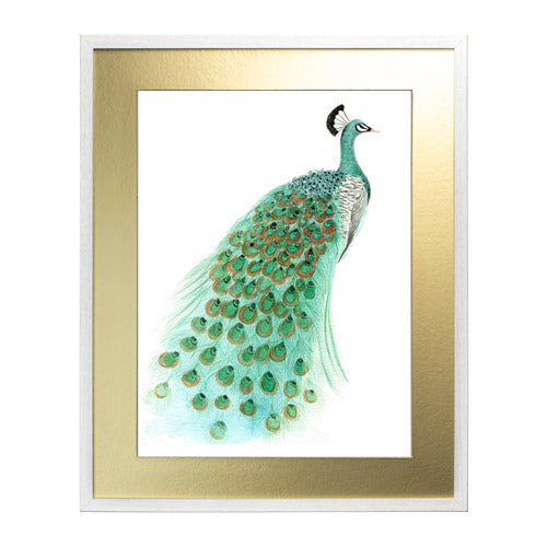 Pavo Real 1