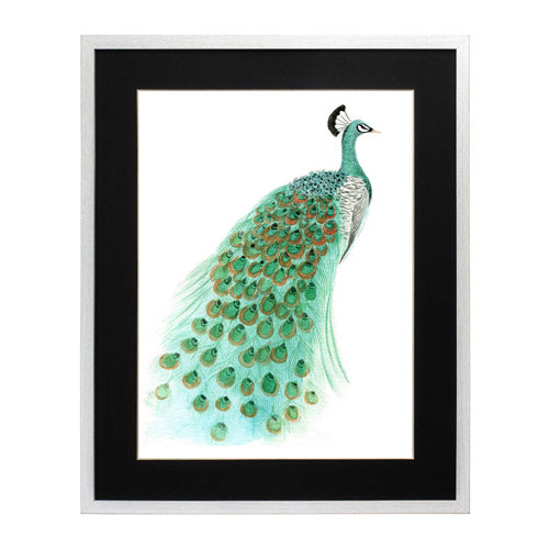 Pavo Real 1
