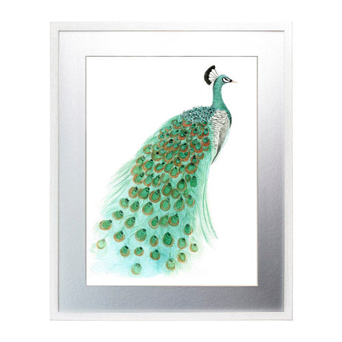 Pavo Real 1