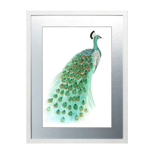 Pavo Real 1