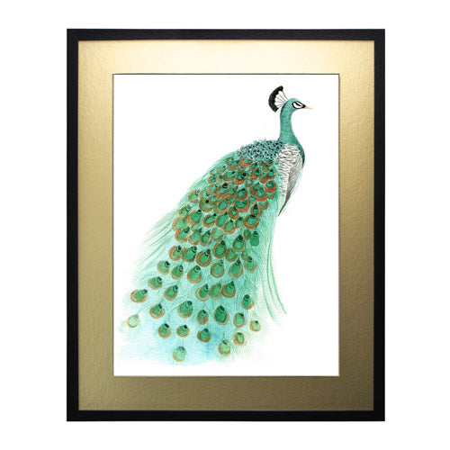 Pavo Real 1