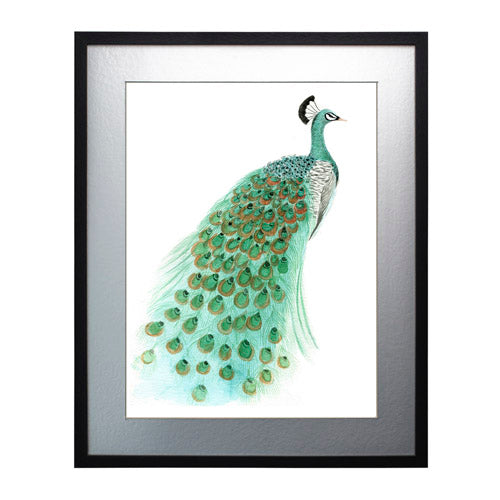 Pavo Real 1