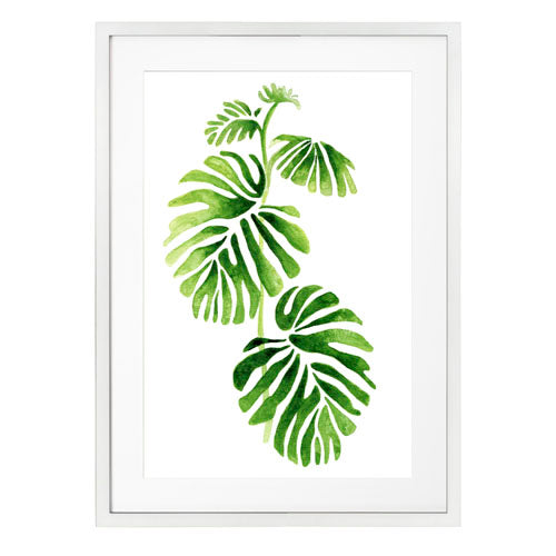 Planta 1