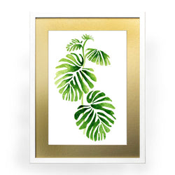 Planta 1