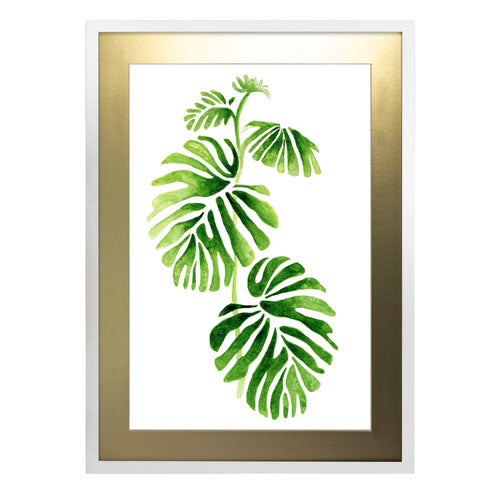 Planta 1