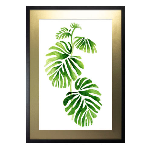 Planta 1