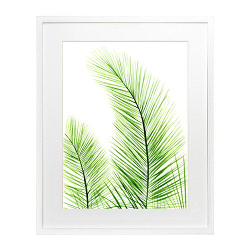 Planta 2