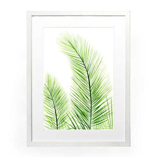 Planta 2