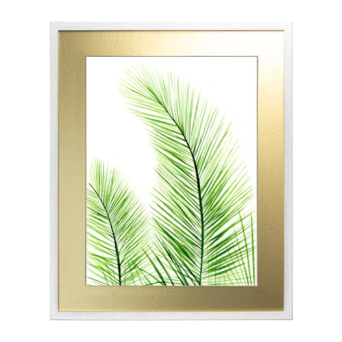 Planta 2