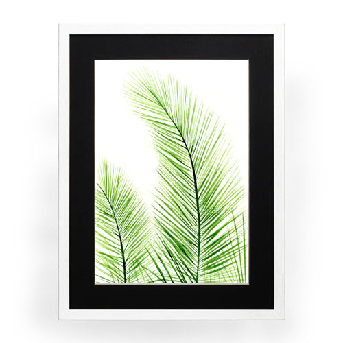 Planta 2