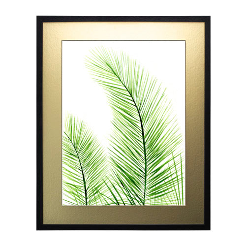 Planta 2