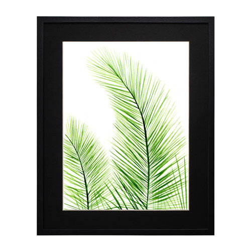 Planta 2