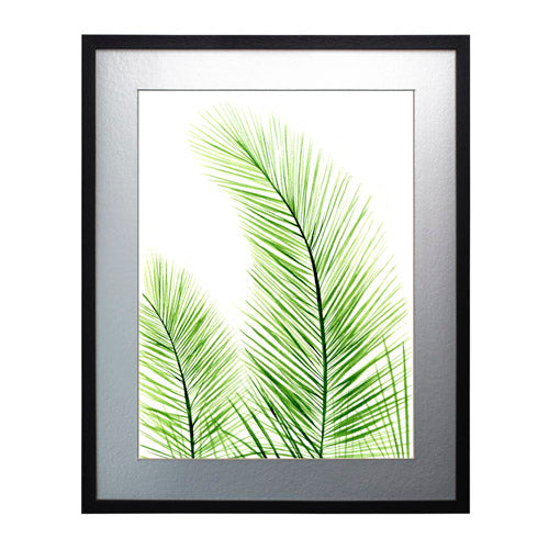 Planta 2