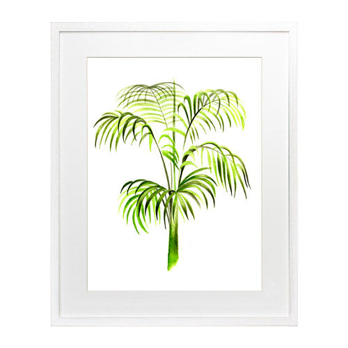 Planta 3