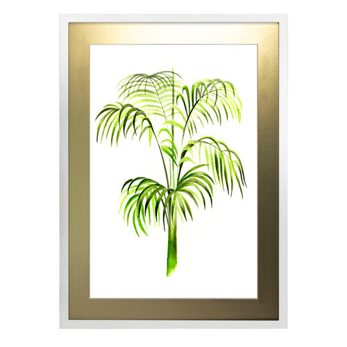 Planta 3