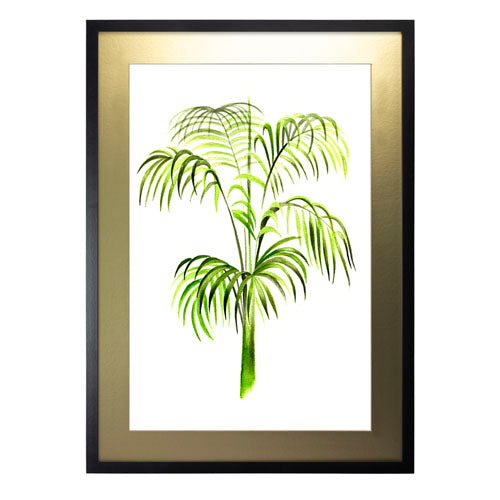 Planta 3