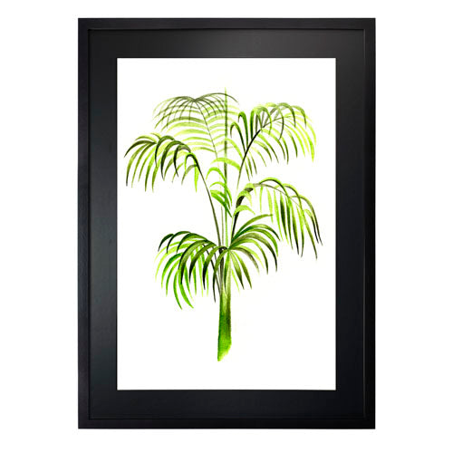 Planta 3