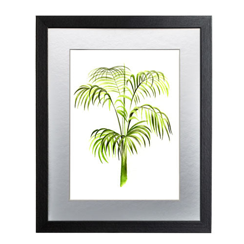 Planta 3