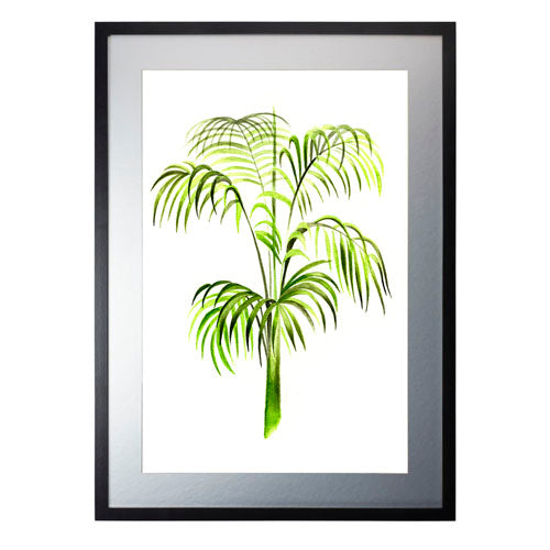 Planta 3
