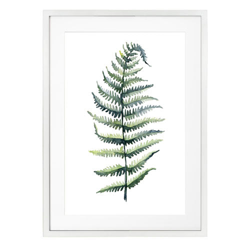 Planta 4