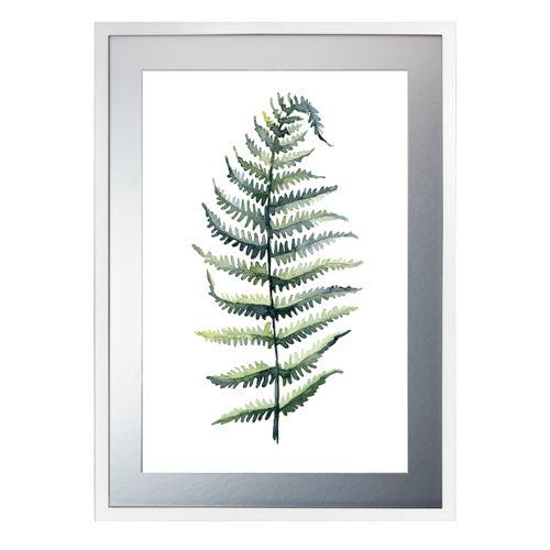 Planta 4