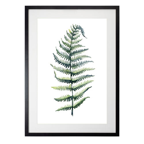 Planta 4