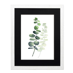 Planta 5