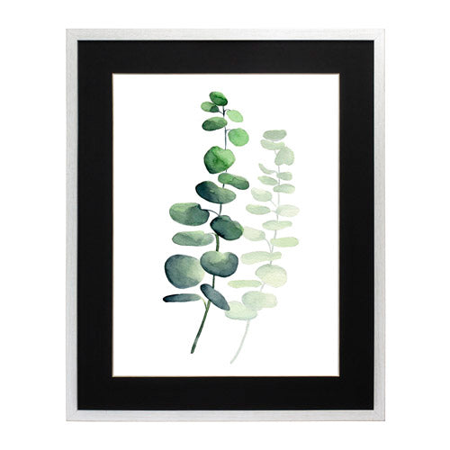 Planta 5