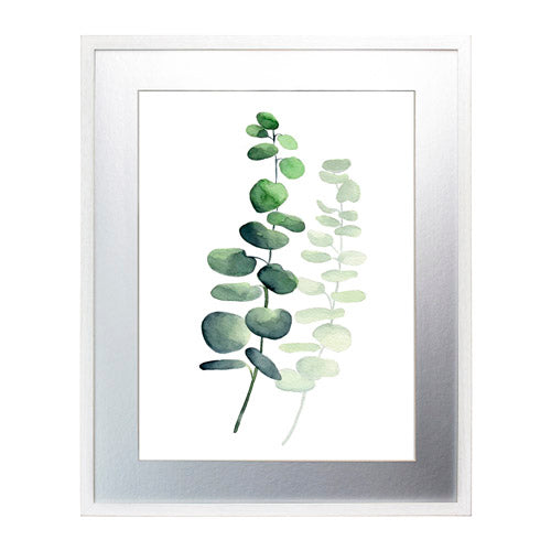 Planta 5