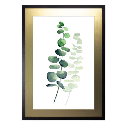 Planta 5
