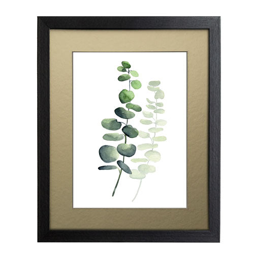 Planta 5