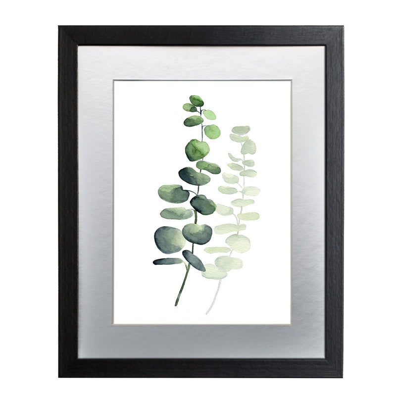Planta 5