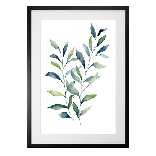 Planta 6