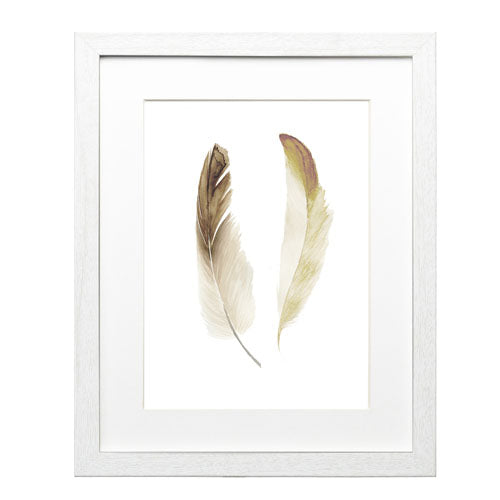 Pluma Clarita 1