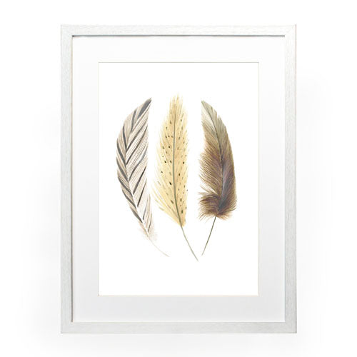 Pluma Clarita 3