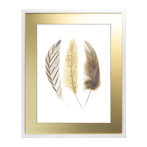 Pluma Clarita 3